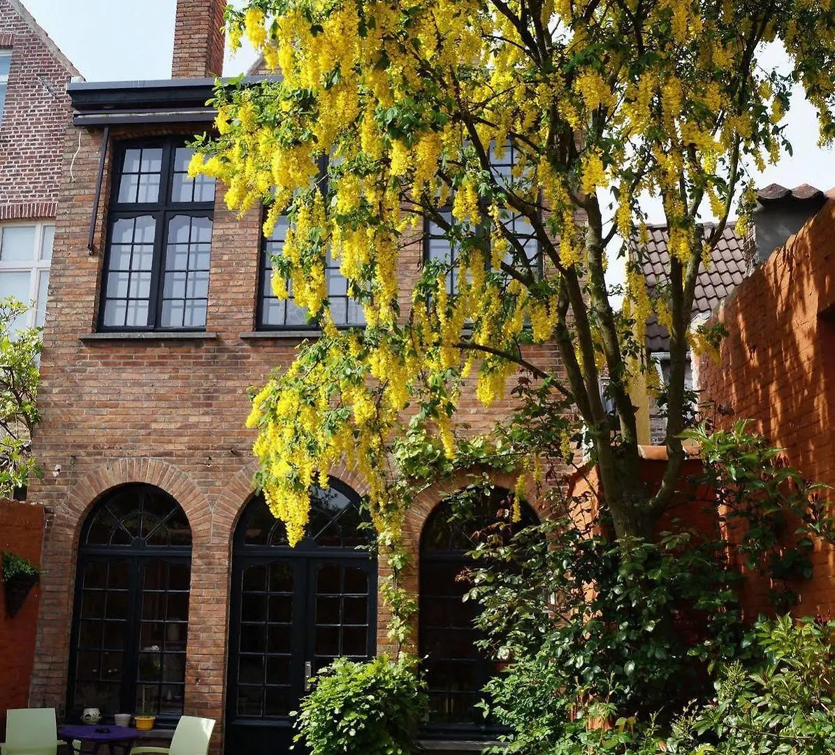 **** Bed & Breakfast B&B Next Door Bruges Belgium